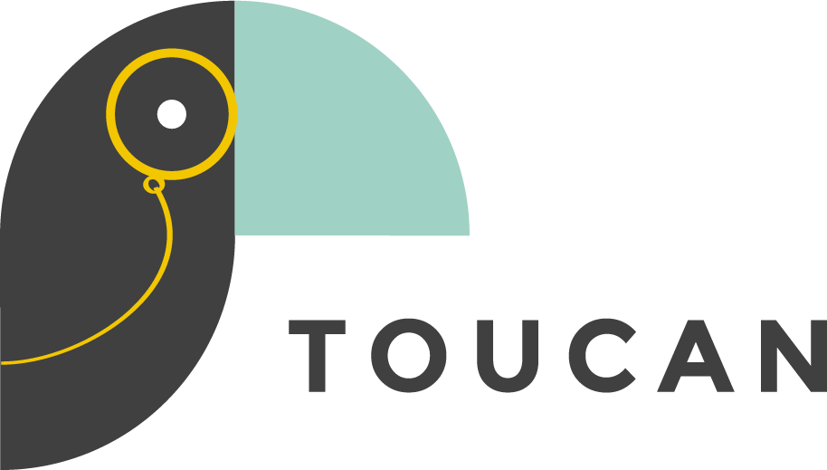 Toucan Toco.avif