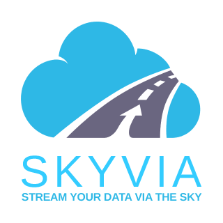 Skyvia w.webp