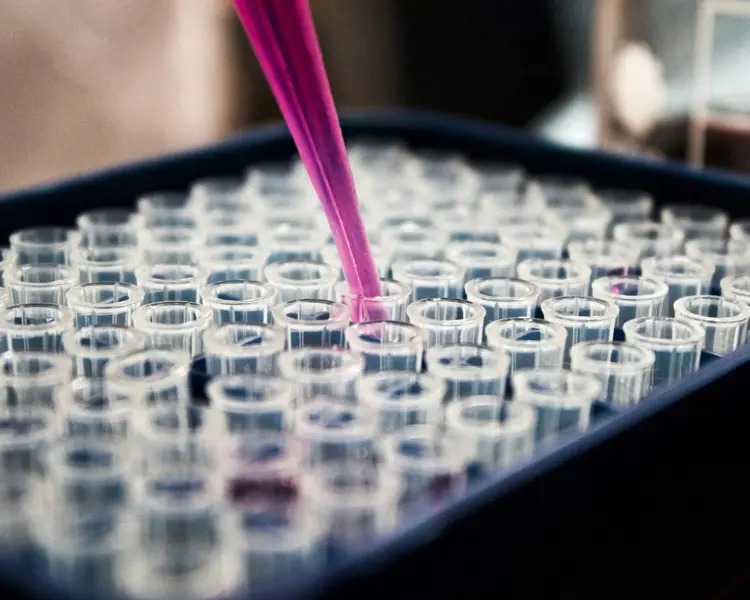 blog post preview image