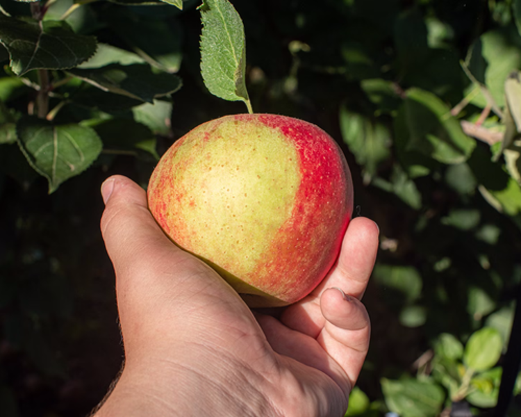 blog post preview image