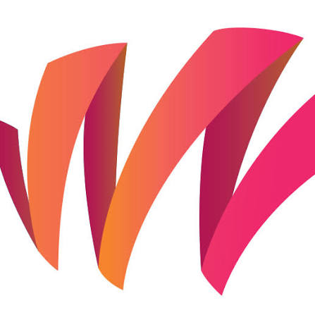 Weisetech w.webp