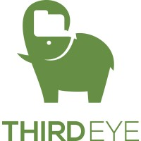 ThirdEye Data.webp