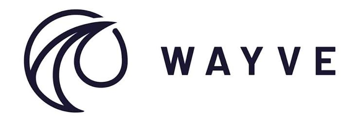 Wayve.webp