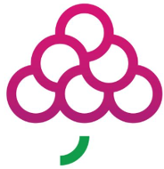 GrapesTech Solutions