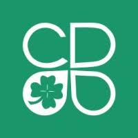 CleverDev Software w.webp