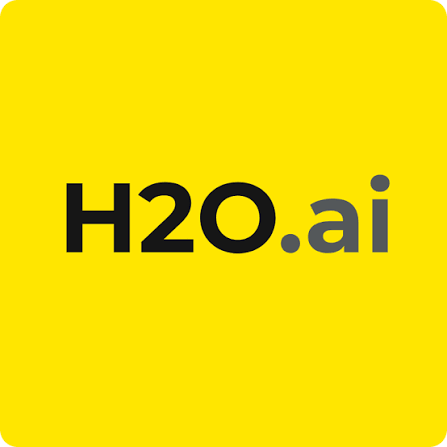 H2O.ai w.webp