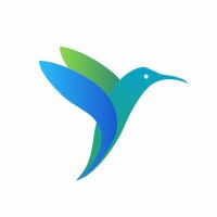 bird morning.webp