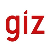 GIZ.png