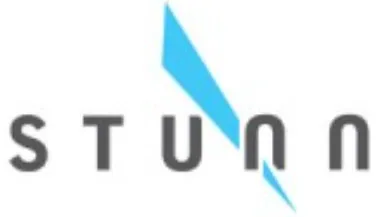 stunn_converted.webp