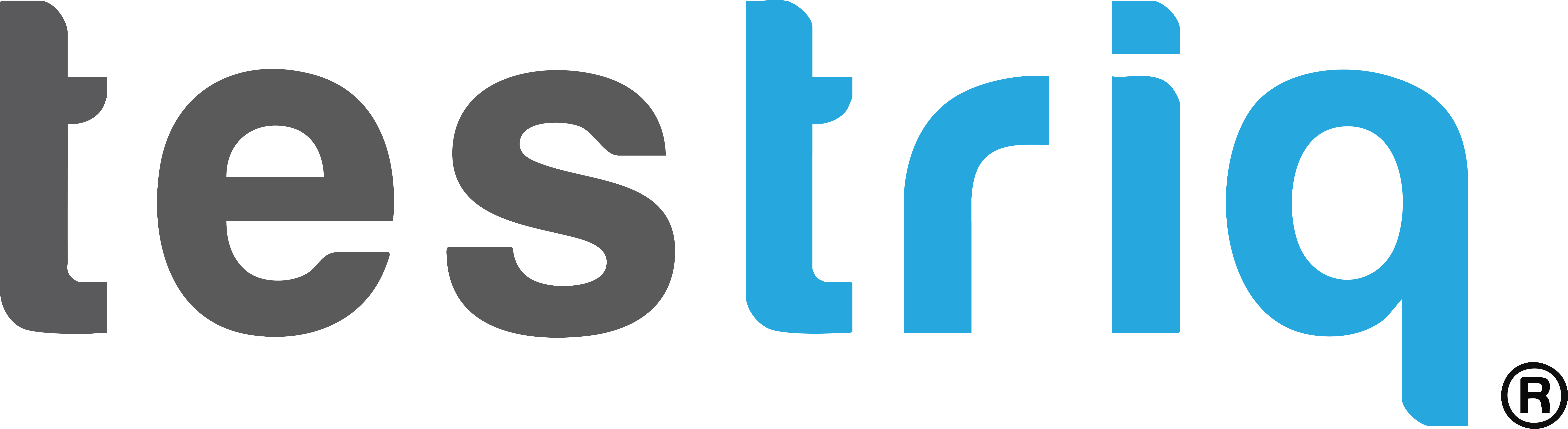 Testriq.webp
