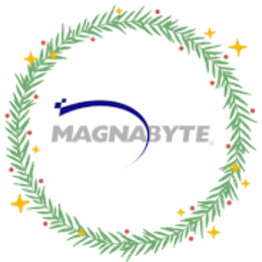 Magnabyte Solutions