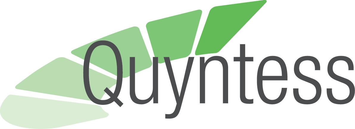 quyntess.webp