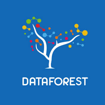 DATAFOREST w.webp