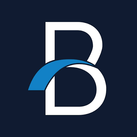 bridge point consulting.webp