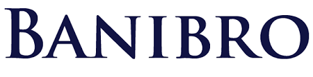 Banibro IT Solutions