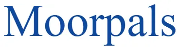 Moorpals Technologies_converted.webp