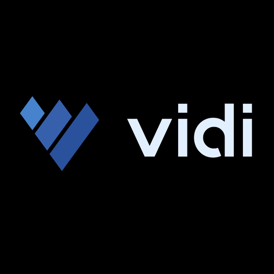 Vidi Corp.webp
