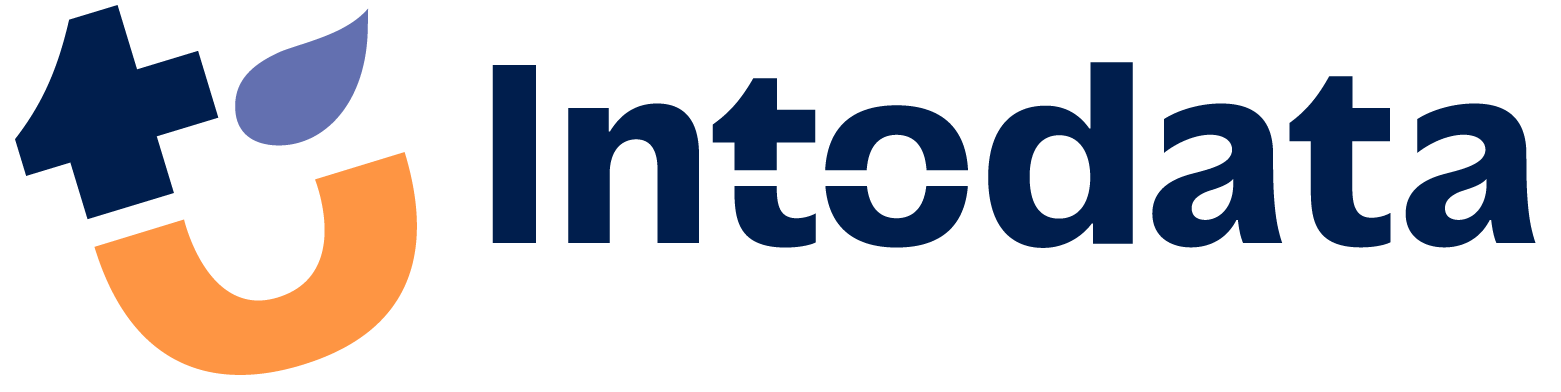 Intodata.webp