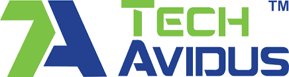 TechAvidus