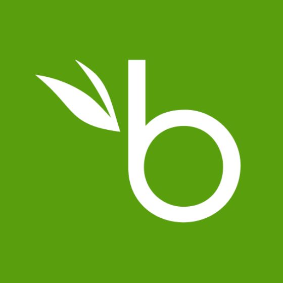 bamboohr.webp