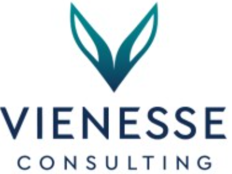 Vienesse Consulting
