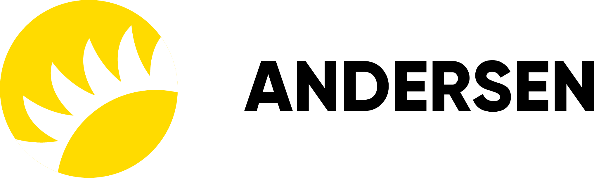 andersen.webp