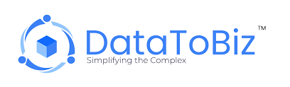 DataToBiz w.webp