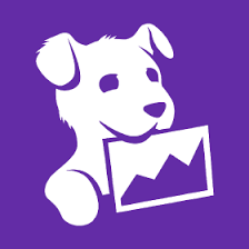 Datadog w.webp