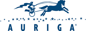 Auriga, Inc.