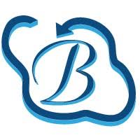 Bhavitra Technologies