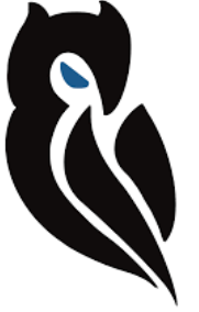 Athena AI Consulting